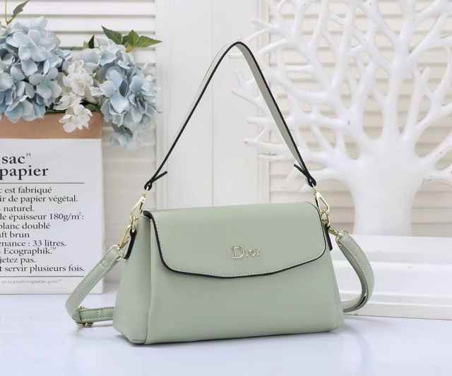 DlOR Handbags 053